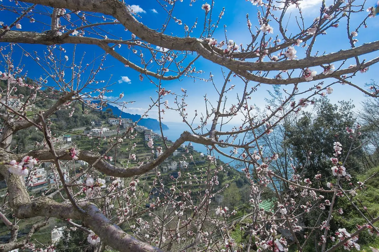 Casa Pina Apartment Amalfi