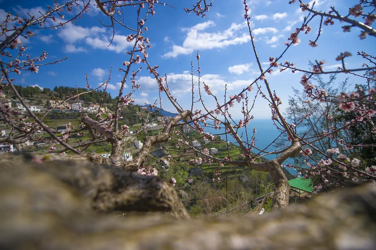 Casa Pina Apartment Amalfi